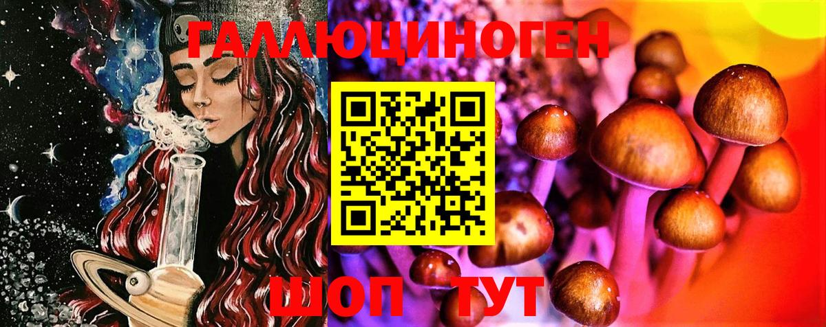 Галлюциногенные грибы Psilocybe Белореченск